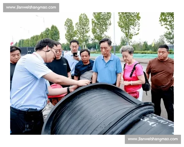 聚焦短期目标实现路径与效率提升策略探索