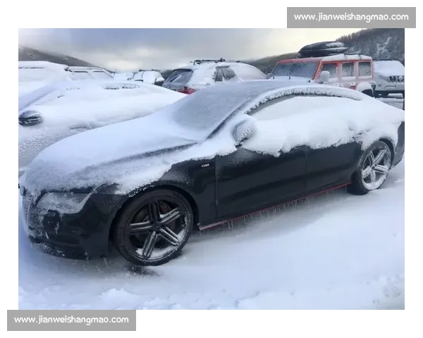 极速雪道争锋，滑雪高手冰雪赛场巅峰对决揭秘